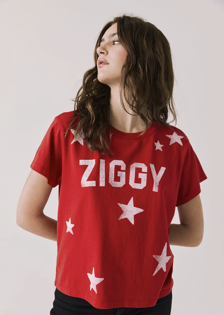 CW9237 Davide Bowie Ziggy Stardust Tee - T. Georgiano's