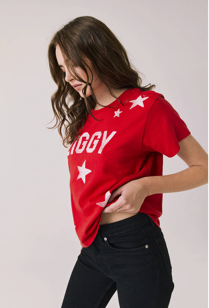 CW9237 Davide Bowie Ziggy Stardust Tee - T. Georgiano's